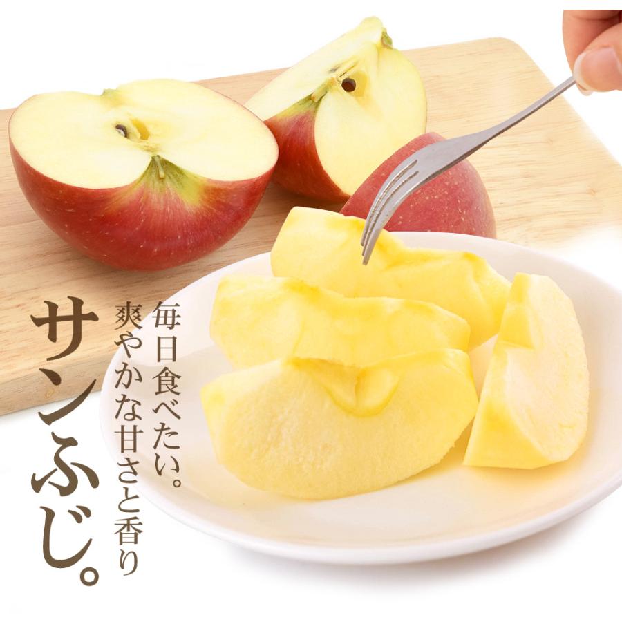 りんご 10kg みちのく サンふじ 山形産 ご家庭用 ふじりんご 送料無料