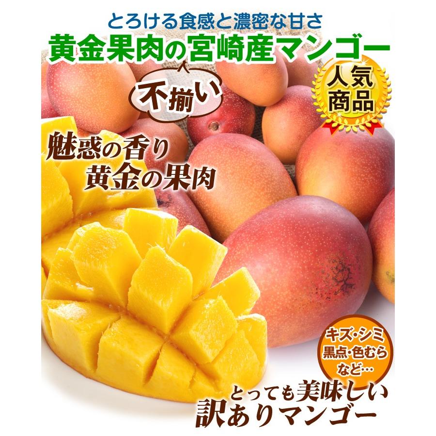 食品 宮崎産 ふぞろいアップルマンゴー 1kg 1組 南国フルーツ 国華園 S Fs3421 花と緑 国華園 通販 Yahoo ショッピング