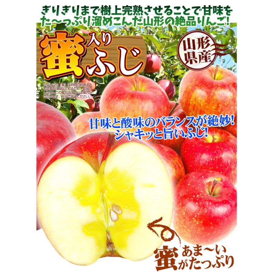 国華園 りんご 10kg ご家庭用 蜜入りサンふじ 山形産 送料無料 食品