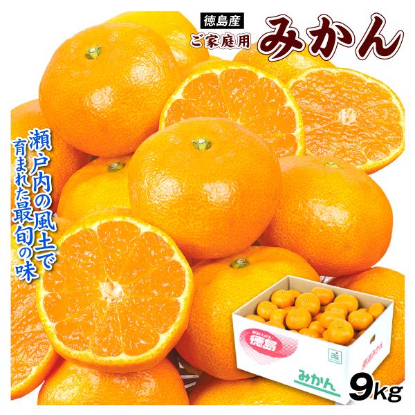 小松島産みかん23kg - www.luxoseluxos.com.br 小松島産みかん23kg - www.luxoseluxos.com.br