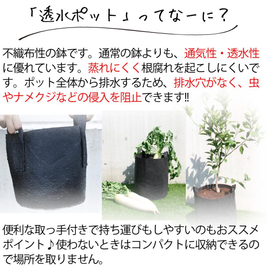 透水ポット40深型 5個1組 不織布 透水 植木鉢 園芸ポット 園芸