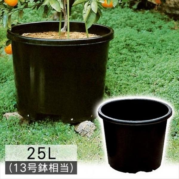 鉢 植木鉢 果樹鉢 ビッグ鉢25L型 黒 10個組 ≪代引不可≫ 国華園