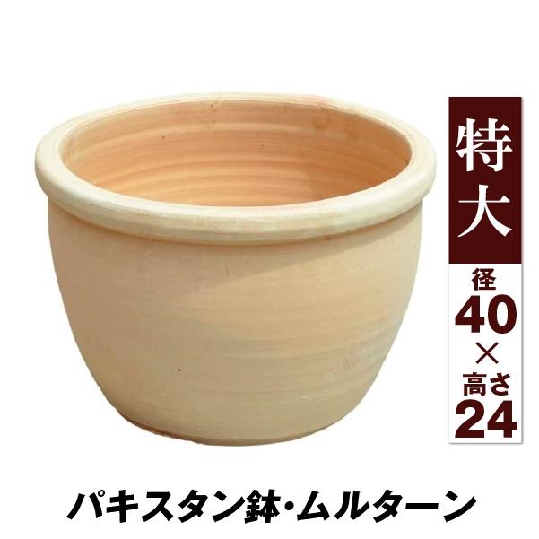鉢 植木鉢 テラコッタ 素焼鉢 おしゃれ トマト栽培 パキスタン鉢 ムルターン 特大 1個 国華園
