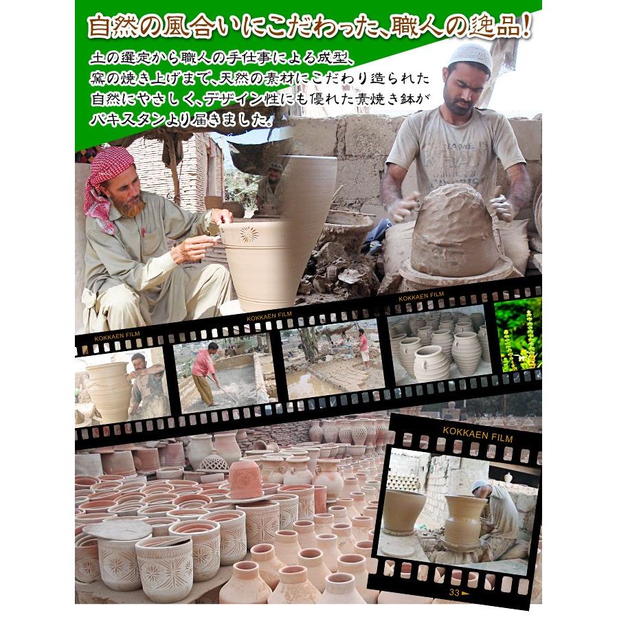 鉢 植木鉢 テラコッタ 素焼鉢 おしゃれ トマト栽培 パキスタン鉢 チャマン 超特大 1個 国華園 S 花と緑 国華園 通販 Yahoo ショッピング