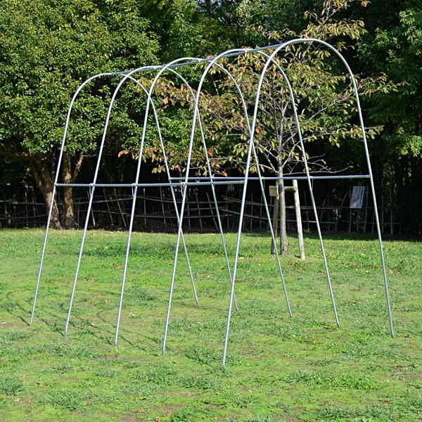 園芸支柱 支柱 新型 パイプ支柱 標準パイプ支柱セット 1組 パイプハウス 雨よけハウス 雨よけ トマト キュウリ 国華園 S 花と緑 国華園 通販 Yahoo ショッピング