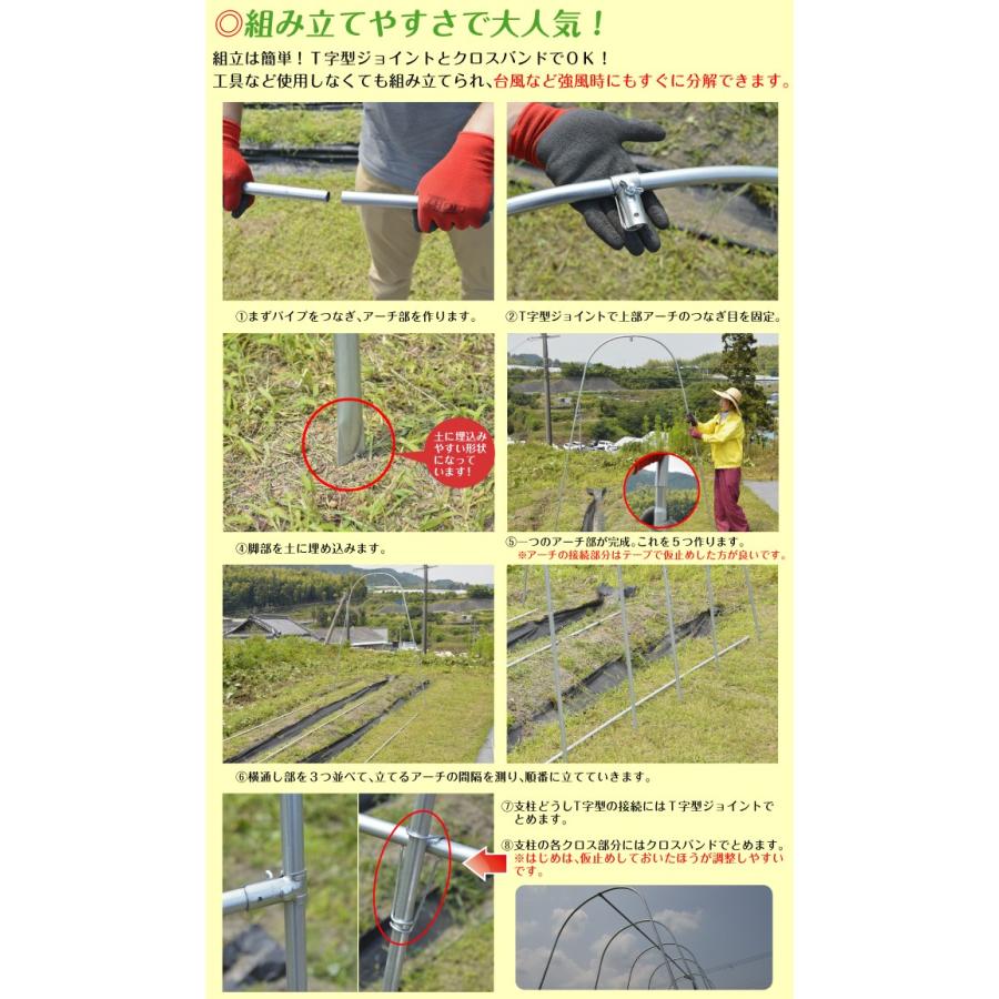 園芸支柱 支柱 新型 パイプ支柱 標準パイプ支柱セット 1組 パイプハウス 雨よけハウス 雨よけ トマト キュウリ 国華園｜kokkaen｜08