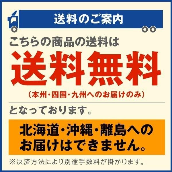 支柱 果樹用 イボ付鋼管製 園芸 農業 3m （代引不可） Φ33mm×300cm 10