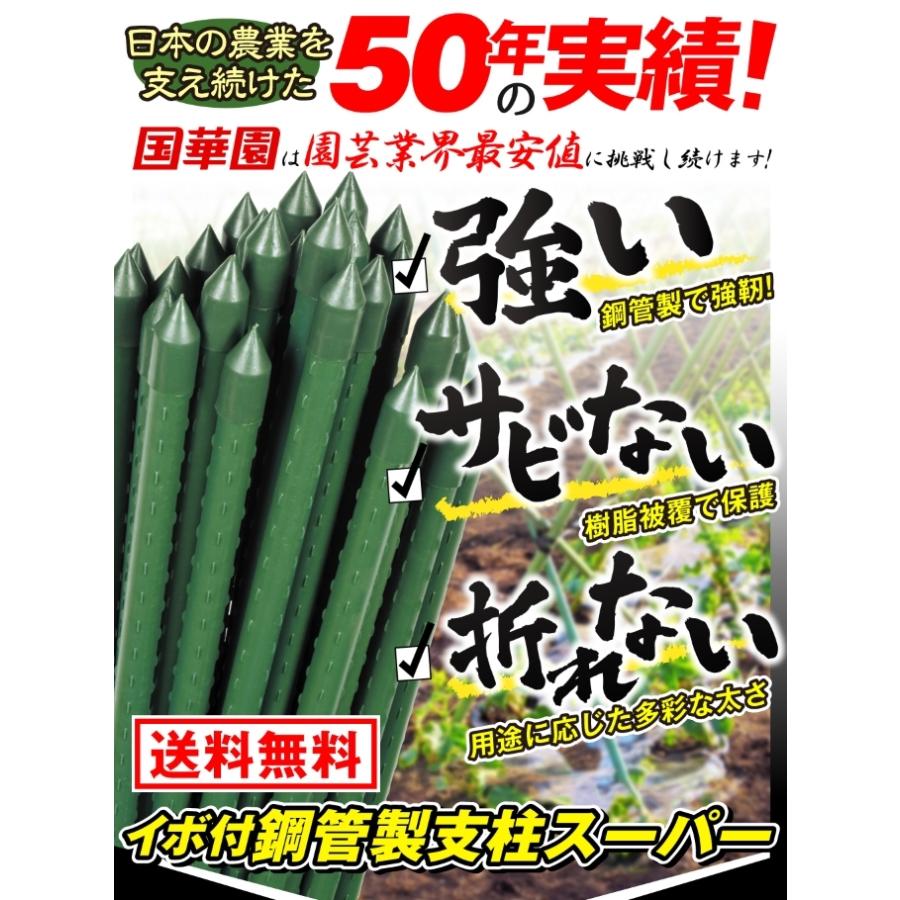 支柱 園芸 農業 イボ付鋼管製 Φ16mm×90cm 50本組 イボ竹 菜園 野菜 栽培 国華園｜kokkaen｜02