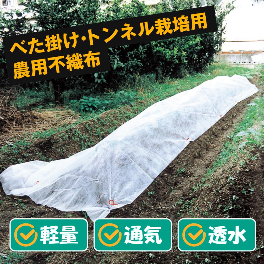農用シート 不織布 農業用 べた掛け栽培 愛栽シートA 1.8×100m 1巻1組