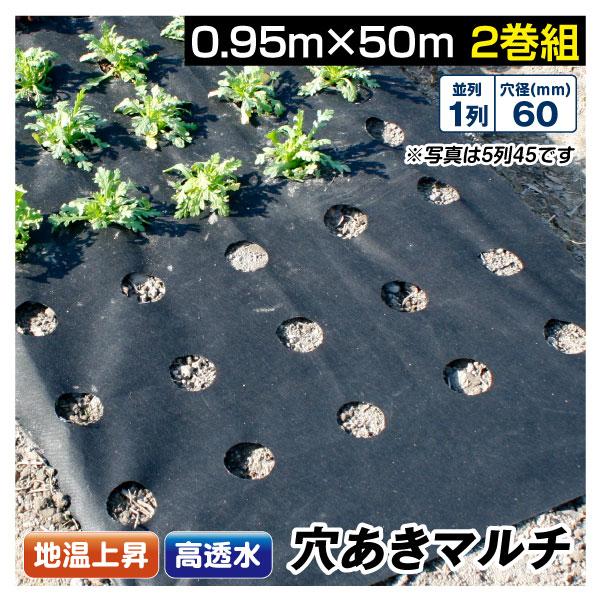 素敵でユニークな 人気TOP 農業用マルチシート 穴あき透水マルチ 1列60 0.95×50m 2巻1組 農用 マルチング 被覆資材 ポリプロピレン 不織布 透水 地温上昇 国華園 cartoontrade.com cartoontrade.com