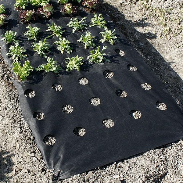 農業用マルチシート Amazon.co.jp: 黒マルチ マルチシート 農業用マルチシート 農