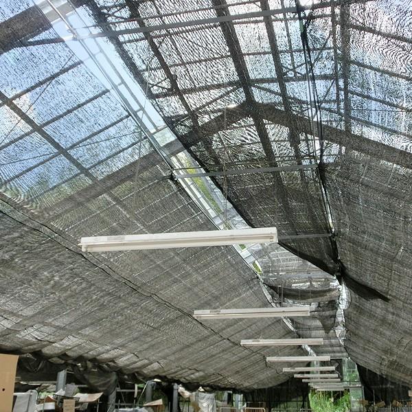 日よけ 遮光ネット黒(遮光率:50%) 2×2m 2枚1組 サンシェード