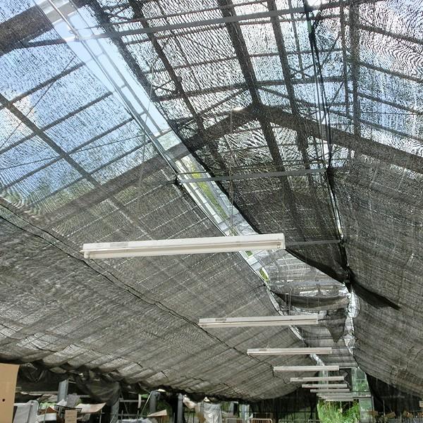 日よけ 遮光ネット黒(遮光率:50%) 2×5m 2枚1組 サンシェード