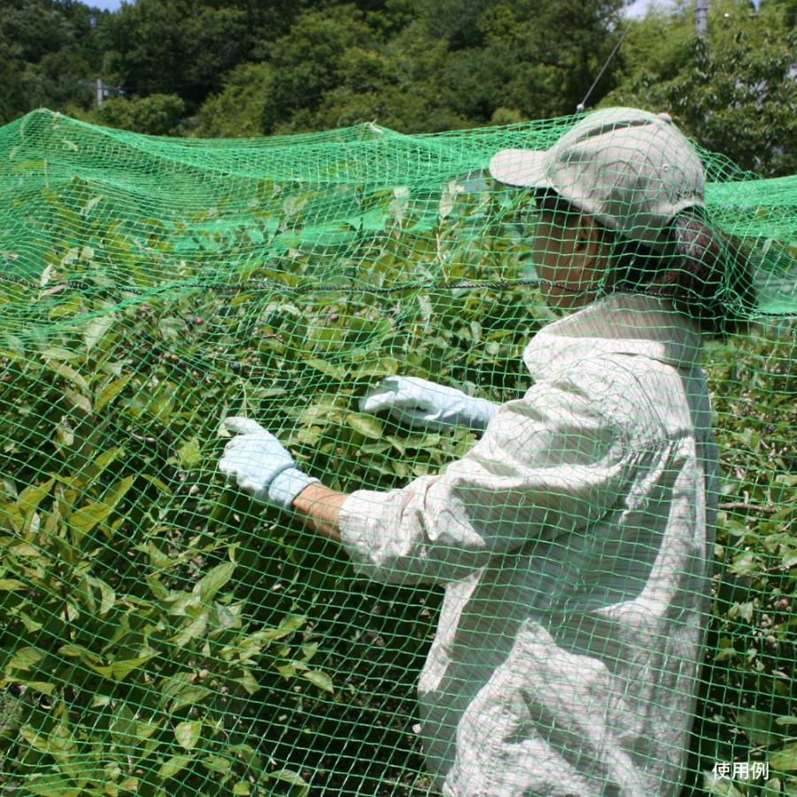 ネット　１０ｍ×９ｍ Mini Tennis Net at 3m. Zsig's value UK-made Zsignet.