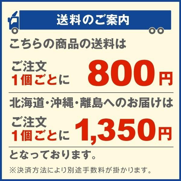 サーモ付パネルヒーター2台セット(0.5坪用)　1組　温室用ヒーター　ハウス栽培　温度管理　保温器　国華園　農業用品　ビニールハウス　暖房器具