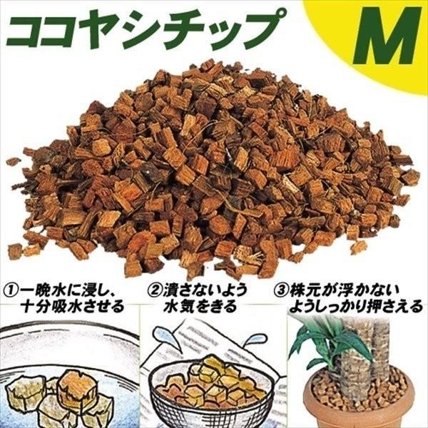 ココヤシチップM・50L 2袋1組(合計約100L) 国華園 : 花と緑 国 ココヤシチップM・50L 2袋1組(合計約100L) 国華園 : 花と緑 国