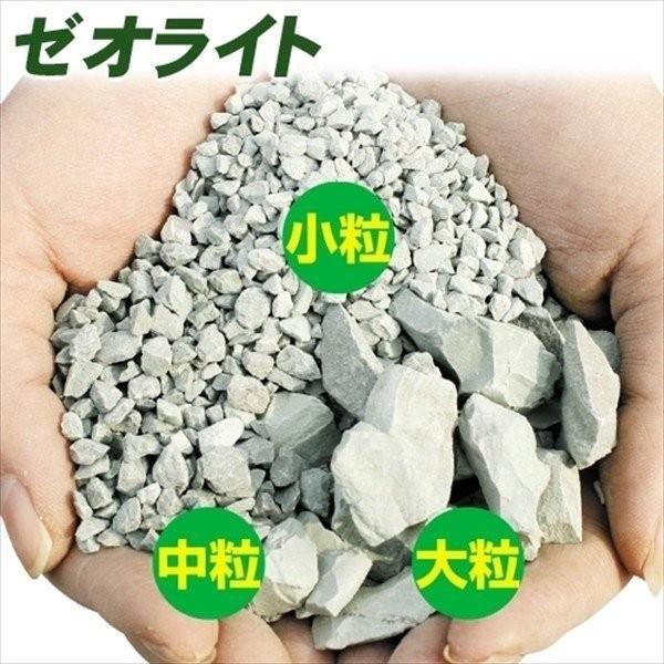 土壌改良 ゼオライト 10kg 大粒 1袋 国華園｜kokkaen｜02