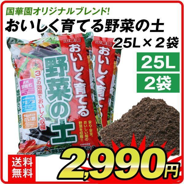 培養土 土 野菜の土 25l 2袋セット おいしく育てる野菜の土 25リットル 2袋1組 園芸用土 園芸土 用土 家庭菜園 野菜 庭 畑 農園 ガーデニング 国華園 S 花と緑 国華園 通販 Yahoo ショッピング