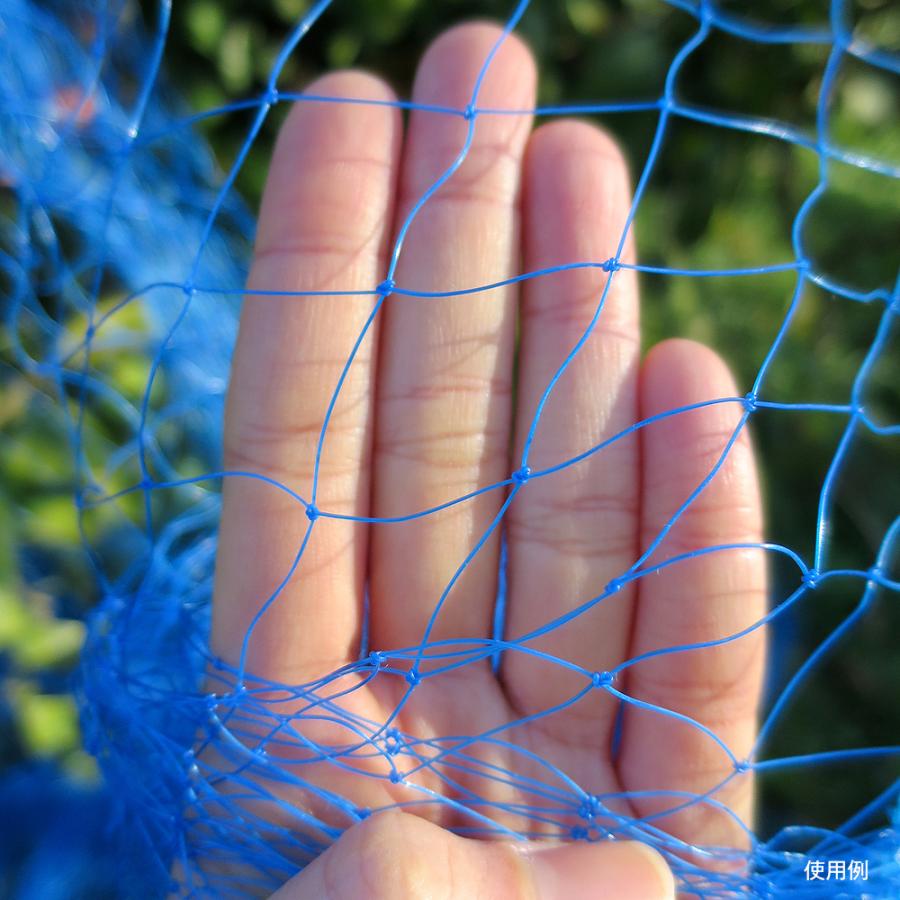 防鳥ネット すっぽり果樹用バードネット（6m×6m）1巻 目合20mm ブルー