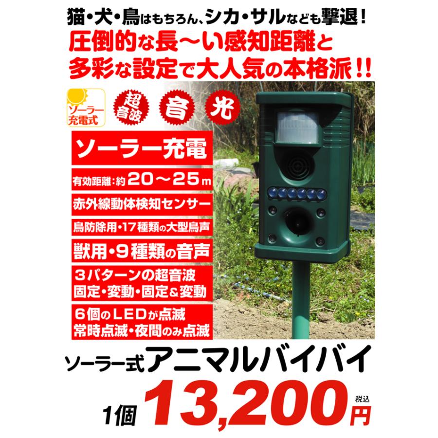 動物撃退器 ソーラーアニマルバイバイ 1個 ソーラー充電 超音波 音 光 LED 猫よけ 鳥 ネズミ 犬 シカ イノシシ サル 獣害対策 国華園 :s17119:花と緑 国華園 - 通販 - Yahoo!ショッピング 動物撃退器 ソーラーアニマルバイバイ 1個 ソーラー充電 超音波 音 光 LED 猫よけ 鳥 ネズミ 犬 シカ イノシシ サル 獣害対策 国華園 :s17119:花と緑 国華園 - 通販 - Yahoo!ショッピング