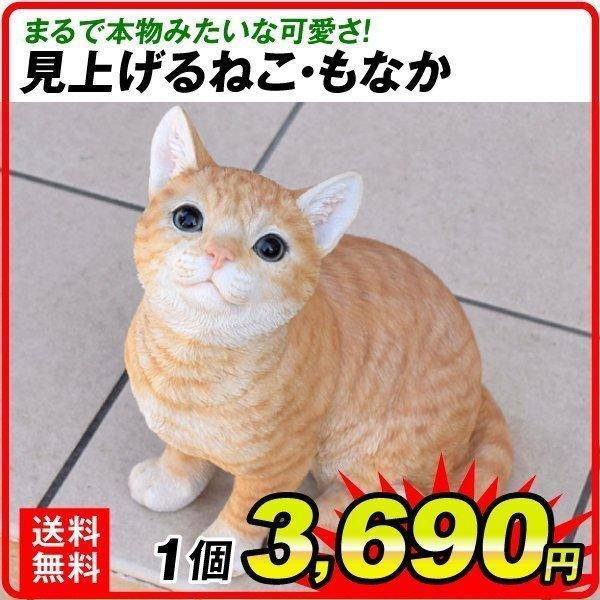 国華園 オーナメント 猫 見上げるねこ・もなか 幅18×奥行22×高さ29cm 1