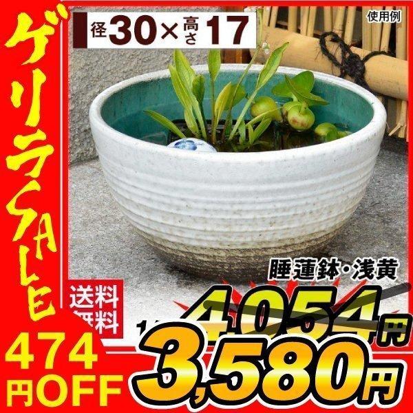 睡蓮鉢 すいれん鉢 浅黄 うすき 1個 直径30 高さ17cm メダカ鉢 ハス鉢 陶器 水鉢 ビオトープ 国華園 S461 花と緑 国華園 通販 Yahoo ショッピング