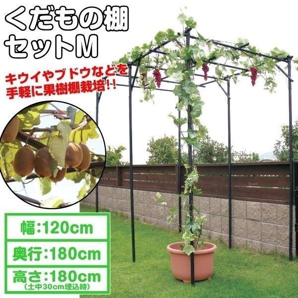 パーゴラ 果樹棚 くだもの棚 藤棚 セットM 1台 ぶどう キウイ 棚 栽培 支柱 国華園