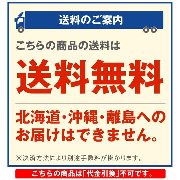 国華園 園芸 支柱 Φ20mm×240cm 100本 2m以上 イボ付き鋼管製 個人宅OK