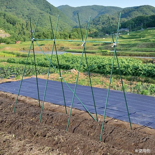 21年6月下旬発送 園芸支柱 支柱 連結式イボ付鋼管製支柱スーパー 直径mm 長さ180cm 50本 農業用 農用 鋼管製 イボ竹 ナス栽培 国華園 S 花と緑 国華園 通販 Yahoo ショッピング