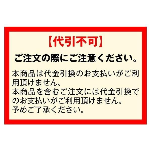 国華園 園芸 支柱 Φ11mm×150cm 100本 イボ付き鋼管製 個人宅OK イボ