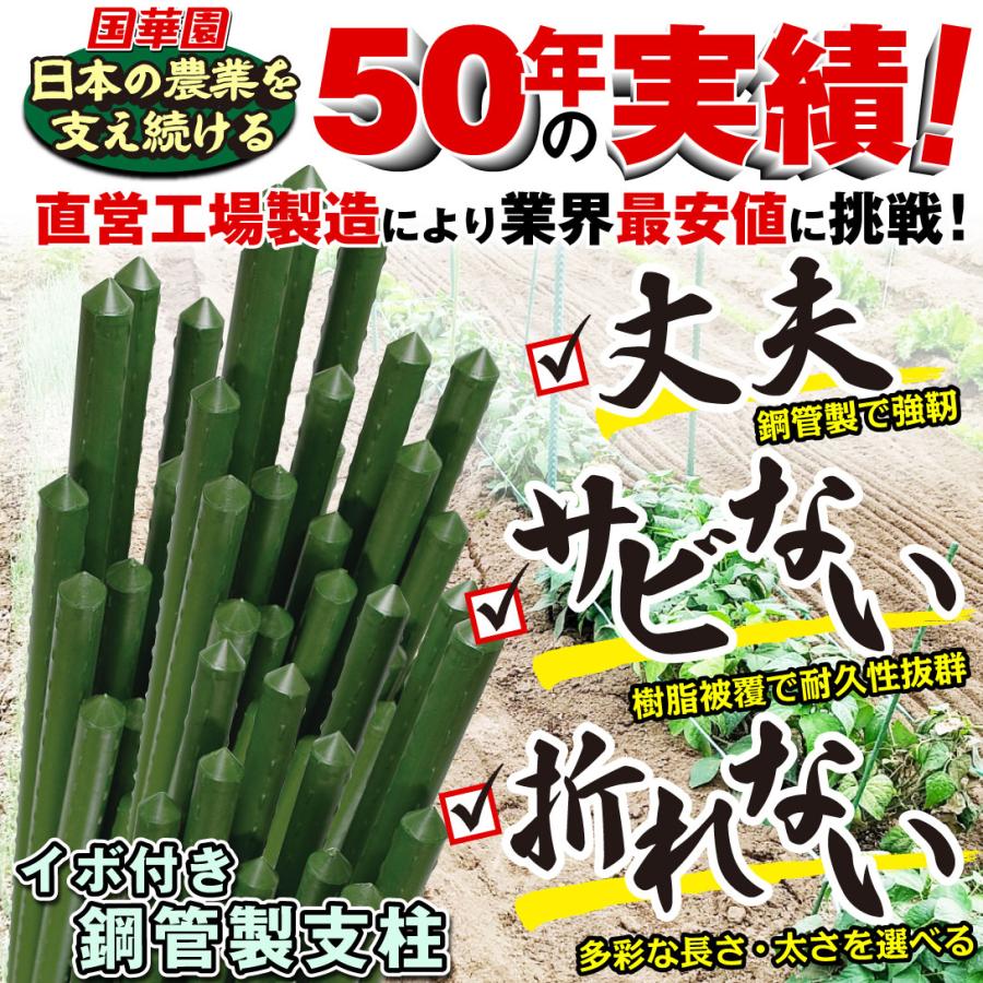 園芸 支柱 Φ16mm×200cm 100本 イボ付き鋼管製 2m 個人宅OK イボ