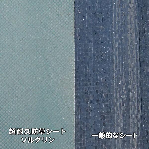 防草シート 1m×50m 農用シート 草よけ 除草 PET 耐用年数 6-7年 厚さ約