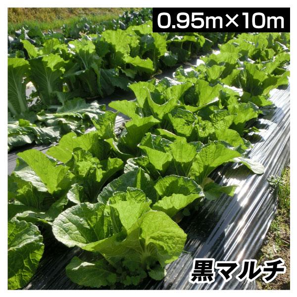 農業用マルチシート 農ポリ メール便対応 黒マルチ 0.95×10m 1枚1組 少量 使い切り 農用 マルチ マルチング 被覆資材 ポリエチレン 国華園 :s24287:花と緑 国華園 - 通販 - Yahoo!ショッピング 農業用マルチシート 農ポリ メール便対応 黒マルチ 0.95×10m 1枚1組 少量 使い切り 農用 マルチ マルチング 被覆資材 ポリエチレン 国華園 :s24287:花と緑 国華園 - 通販 - Yahoo!ショッピング