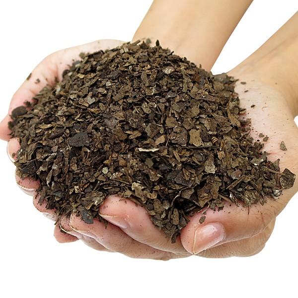 腐葉土 l 2袋 最強腐葉土 細目 園芸土 庭 花壇 花 国華園 S 花と緑 国華園 通販 Yahoo ショッピング