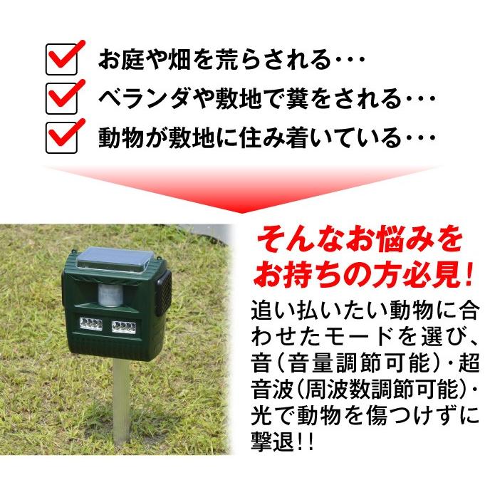 イノシシ 撃退 ソーラー 動物よけ 1個 猫よけ 獣害 対策 警報音 超音波 光 ネコ アライグマ 防犯 防水 いのしし 動物 撃退器 国華園 :s26525:花と緑 国華園 - 通販 - Yahoo!ショッピング イノシシ 撃退 ソーラー 動物よけ 1個 猫よけ 獣害 対策 警報音 超音波 光 ネコ アライグマ 防犯 防水 いのしし 動物 撃退器 国華園 :s26525:花と緑 国華園 - 通販 - Yahoo!ショッピング