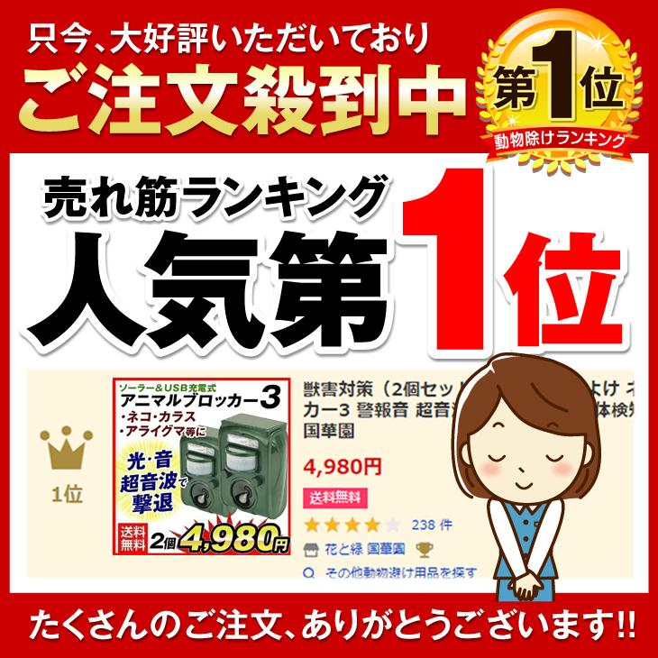 猫よけ 超音波 動物よけ 2個セット 動物撃退器 アニマルブロッカー3 獣害対策 ソーラー充電式 USB充電可 イノシシ ハクビシン アライグマ 鳥 国華園｜kokkaen｜03