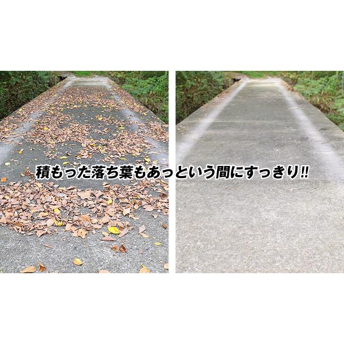 充電式 お手軽 ブロワバキューム 1個 v ブロワー ブロア バッテリー 落葉 枯れ葉 強力 集塵 吸引 粉砕 掃除 清掃 家庭用 庭 コードレス 国華園 S 花と緑 国華園 通販 Yahoo ショッピング