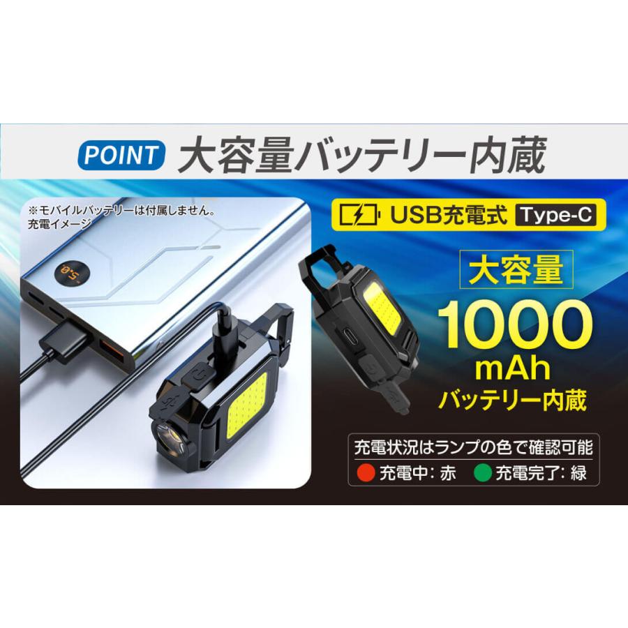 国華園 LEDライト 2個セット カラビナ付 折畳 投光器 小型 COB 充電式