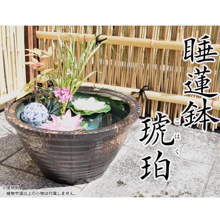 睡蓮鉢 すいれん鉢 琥珀 こはく 1個 直径40 高さcm メダカ鉢 ハス鉢 陶器 水鉢 ビオトープ 国華園 Sa0224 花と緑 国華園 通販 Yahoo ショッピング