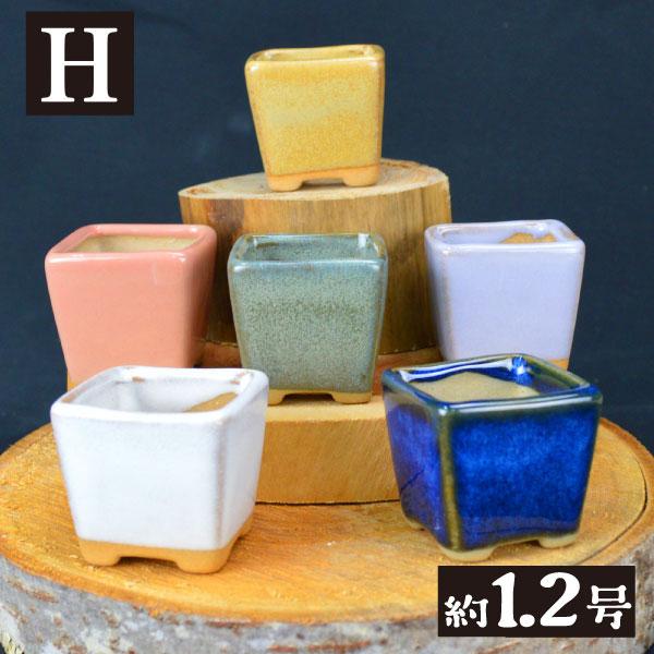 まめ盆栽鉢 匠 7種 （1箱4〜6個入り） ミニ鉢 豆鉢 おしゃれ 陶器 鉢