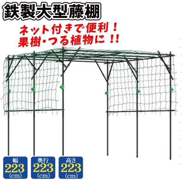 大型藤棚 1個 パーゴラ ガーデン アーチ 藤棚 果樹棚 果物棚 キウイ ぶどう バラ 支柱 園芸 国華園（Yahoo!・花と緑 国華園）