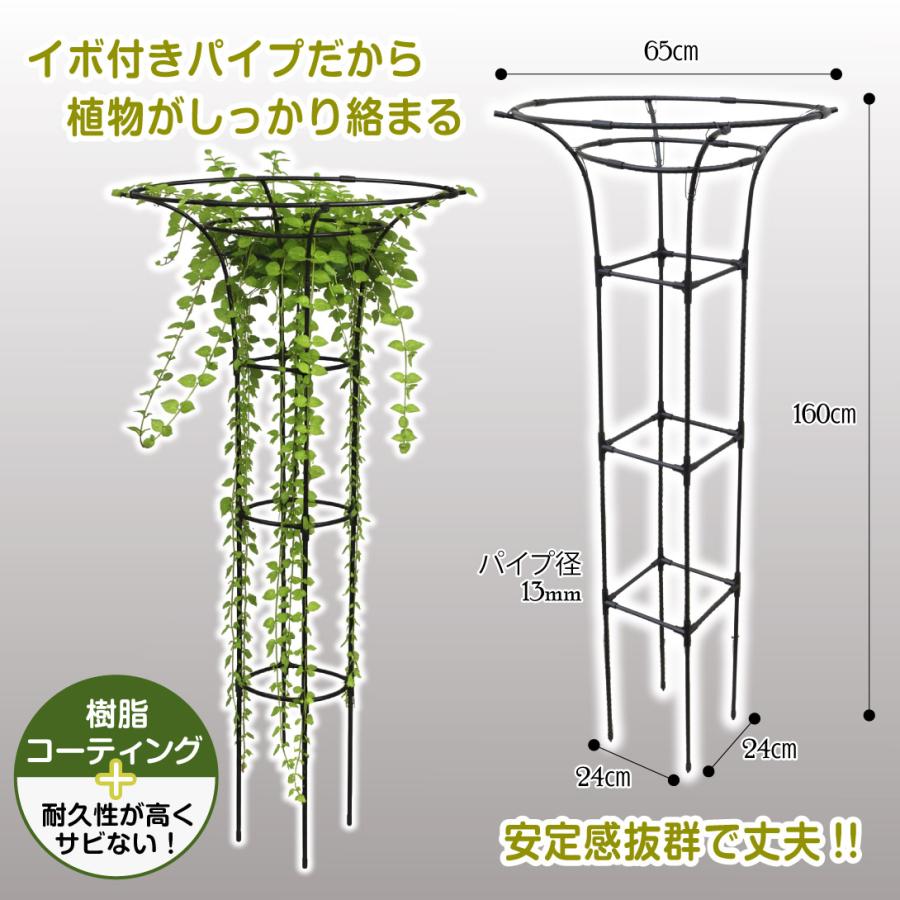 オベリスク トレリス 支柱 トップサークルトレリス 1個 つる性 観葉