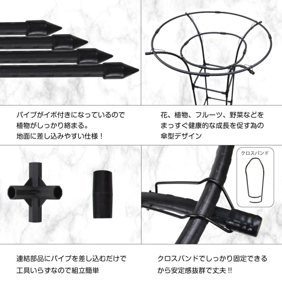 オベリスク トレリス 支柱 トップサークルトレリス 2個 つる性 観葉