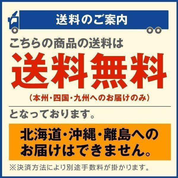 支柱 園芸 農業 イボ付鋼管製 2m Φ16mm×200cm 50本組 イボ竹 菜園 野菜 栽培 国華園｜kokkaen｜08