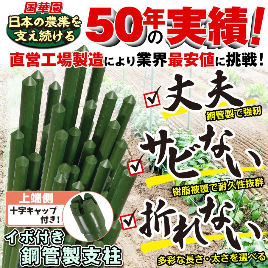 オリジナル 園芸用 イボ付き 鋼管 支柱 200本入り 11mm×150cm 園芸 支柱 Φ11mm×150cm 200本 イボ付き鋼管製 個人宅OK イボ支柱 内