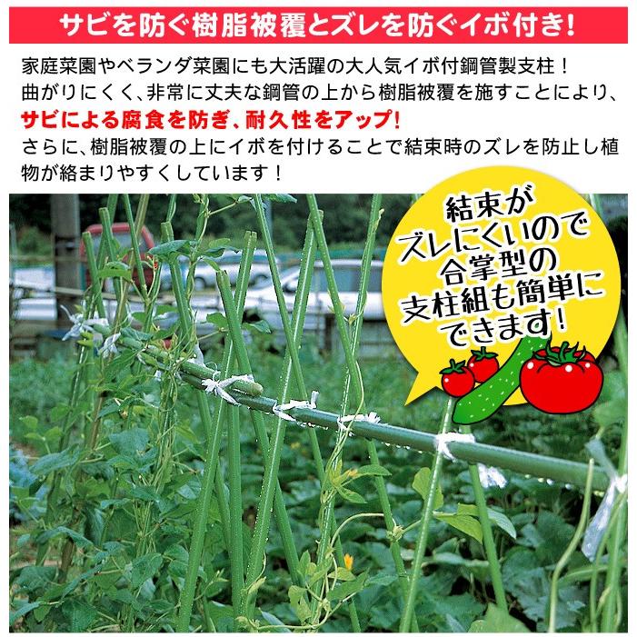 園芸 支柱 Φ11mm×150cm 200本 イボ付き鋼管製 個人宅OK イボ支柱 内