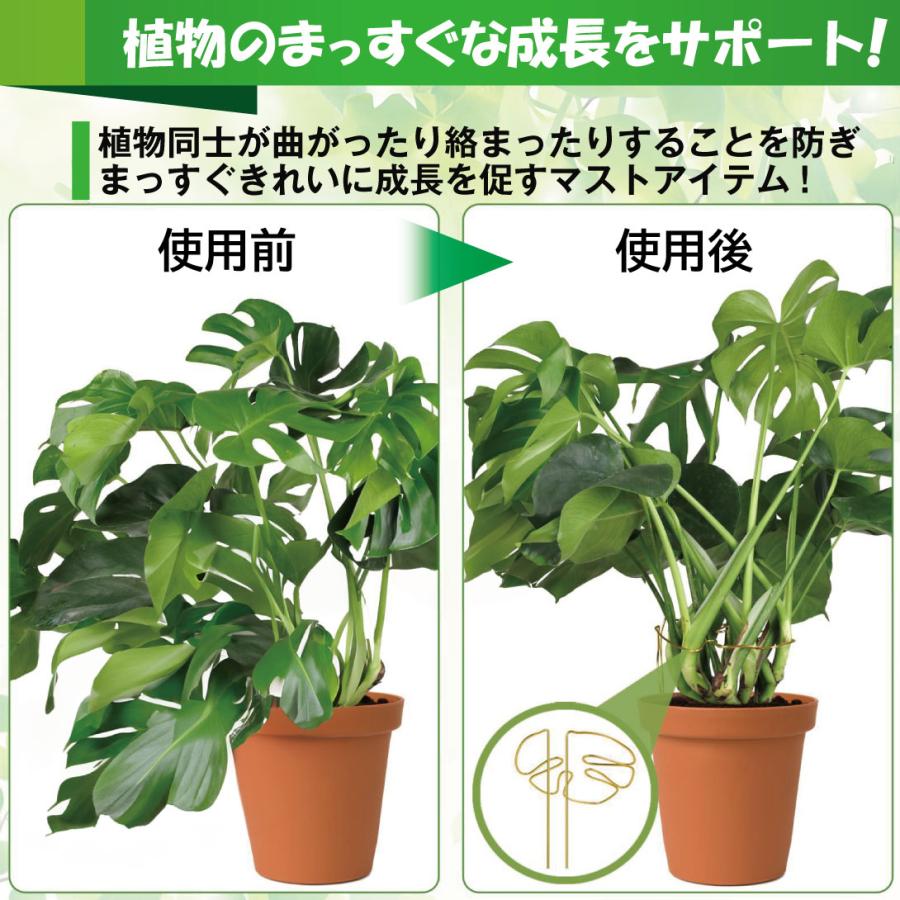 国華園 植物支え 1個 曲げられる 観葉植物 鉢植え 支柱 ツタ つる バラ