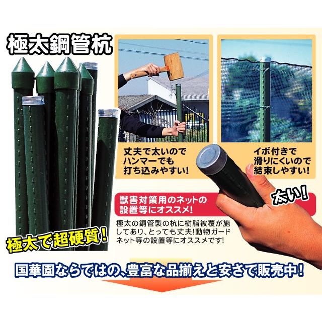 国華園 支柱 極太鋼管杭 26mm×150cm 40本組 鋼管製 個人宅OK イボ支柱