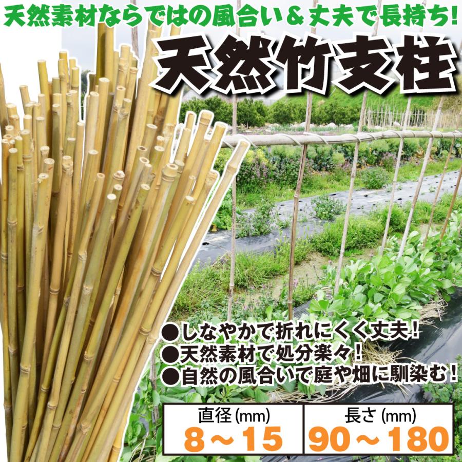 園芸 支柱 竹 12~15mm 180cm 100本 天然竹 女竹 トマト キュウリ 個人