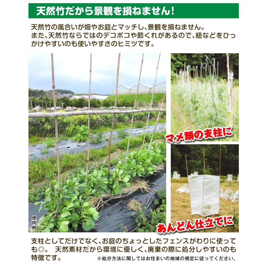 農業、家庭菜園支柱 国華園オンラインショップ / 園芸 支柱 竹 8~10mm 90cm 100本 200本